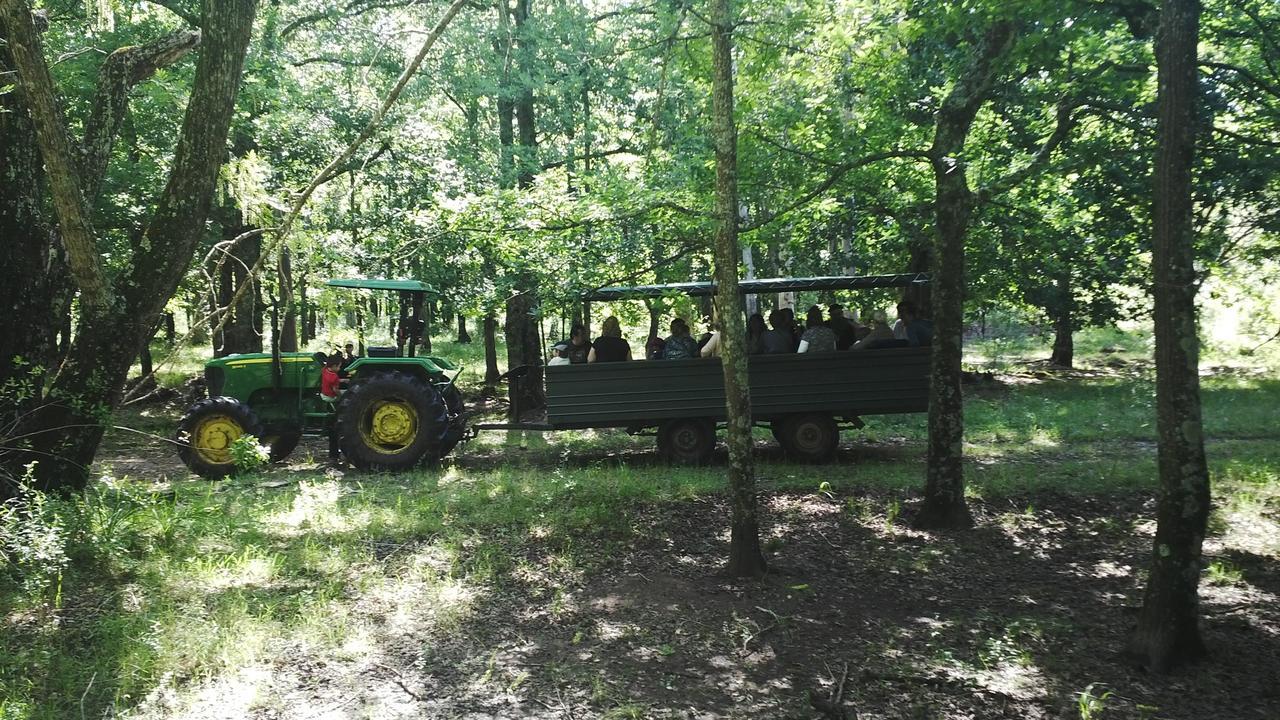 Estancia Turistica San Pedro De Timote Reboledo Bagian luar foto